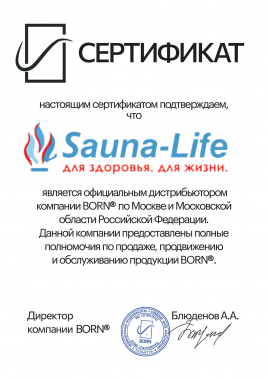 Пароиспаритель BORN, с ионизацией